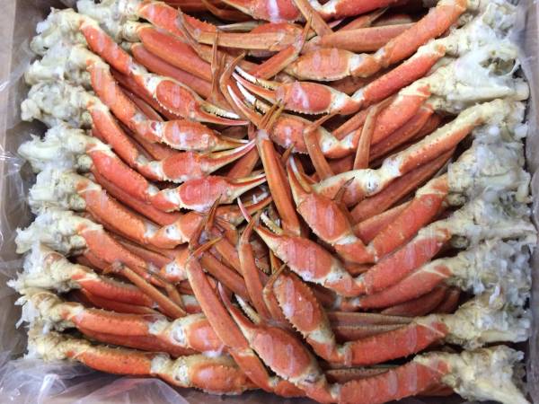 大翔水産　スペイン産　本ズワイガニ脚　10.0kg　カニかに