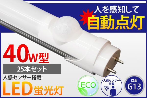 h293058373.1