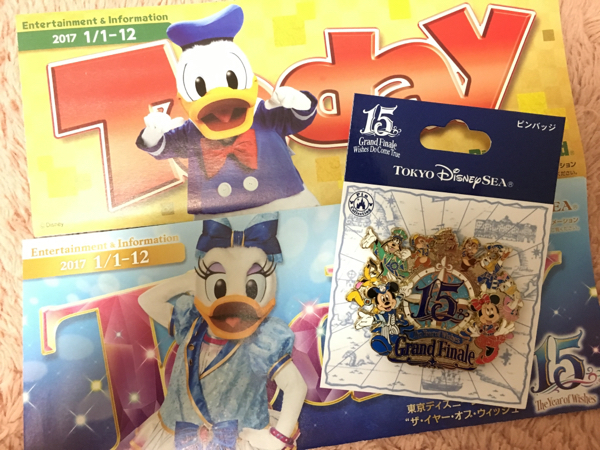 格安購入可能商品 TDS☆ディズニーシー 15周年 グランドフィナーレ BIG