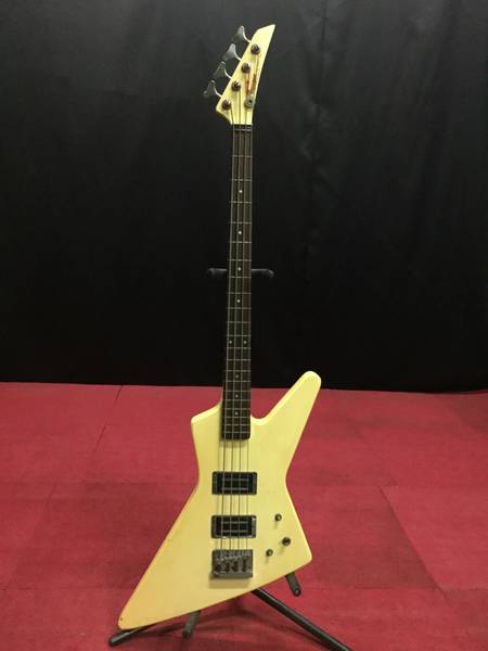 FERNANDES BASS the function active フェルナンデス ハードケース付き
