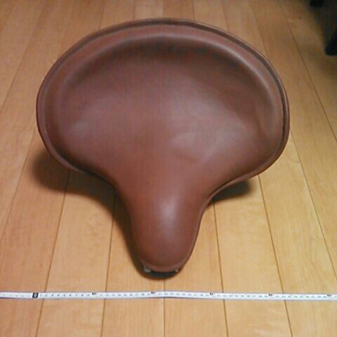 m231897273.1