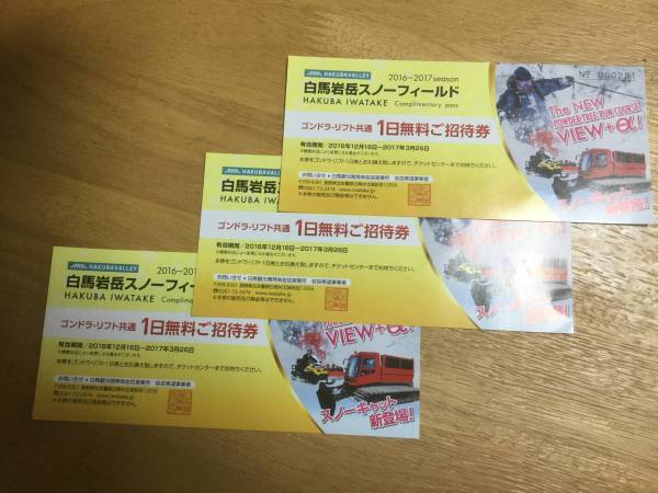 白馬岩岳スノーフィールド リフト券 2枚組 白馬岩岳スノーフィールド リフトゴンドラ1日券(土日祝日利用可)3枚セット