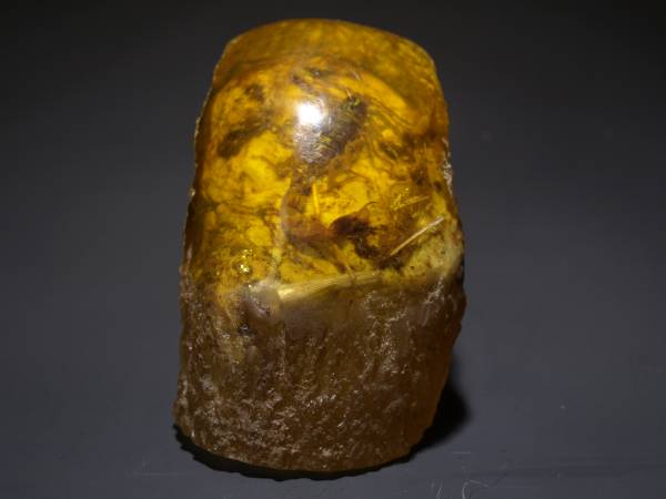 中国時代の化石　天然琥珀サソリ※骨董品 古美術 DE1649D4-2 ふぉっしる 琥珀075｜恐竜・化石グッズの専門店 祖父蔵出品 飾り 天然
