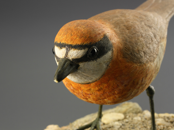 【流】日本美術 木彫彩色鳥置物 IQ666