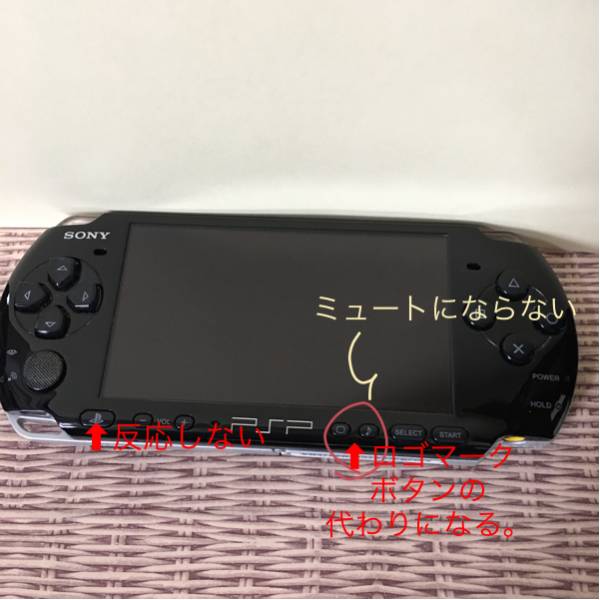 g232660304.1