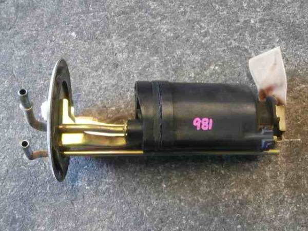 m231918937.3