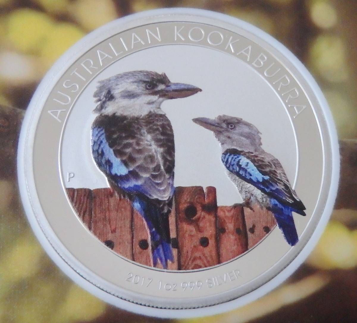 希少 ☆ 新品 2017 オーストラリア カラー 銀貨 ワライカワセミ Kookaburra 最落無し