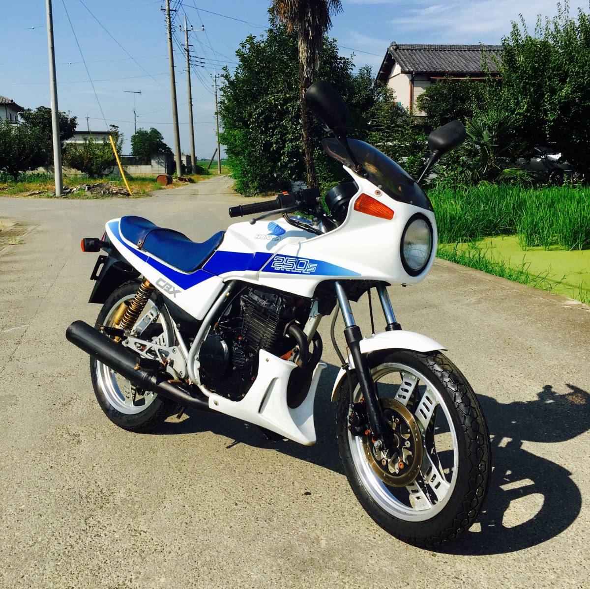 ホンダ Cbx250s Mc12 白 青 実動 書類付き な1台 Cbx Cbr 250 125f Gb Kh Gt 現状 埼玉県 126cc 250cc 売買されたオークション情報 Yahooの商品情報をアーカイブ公開 オークファン Aucfan Com
