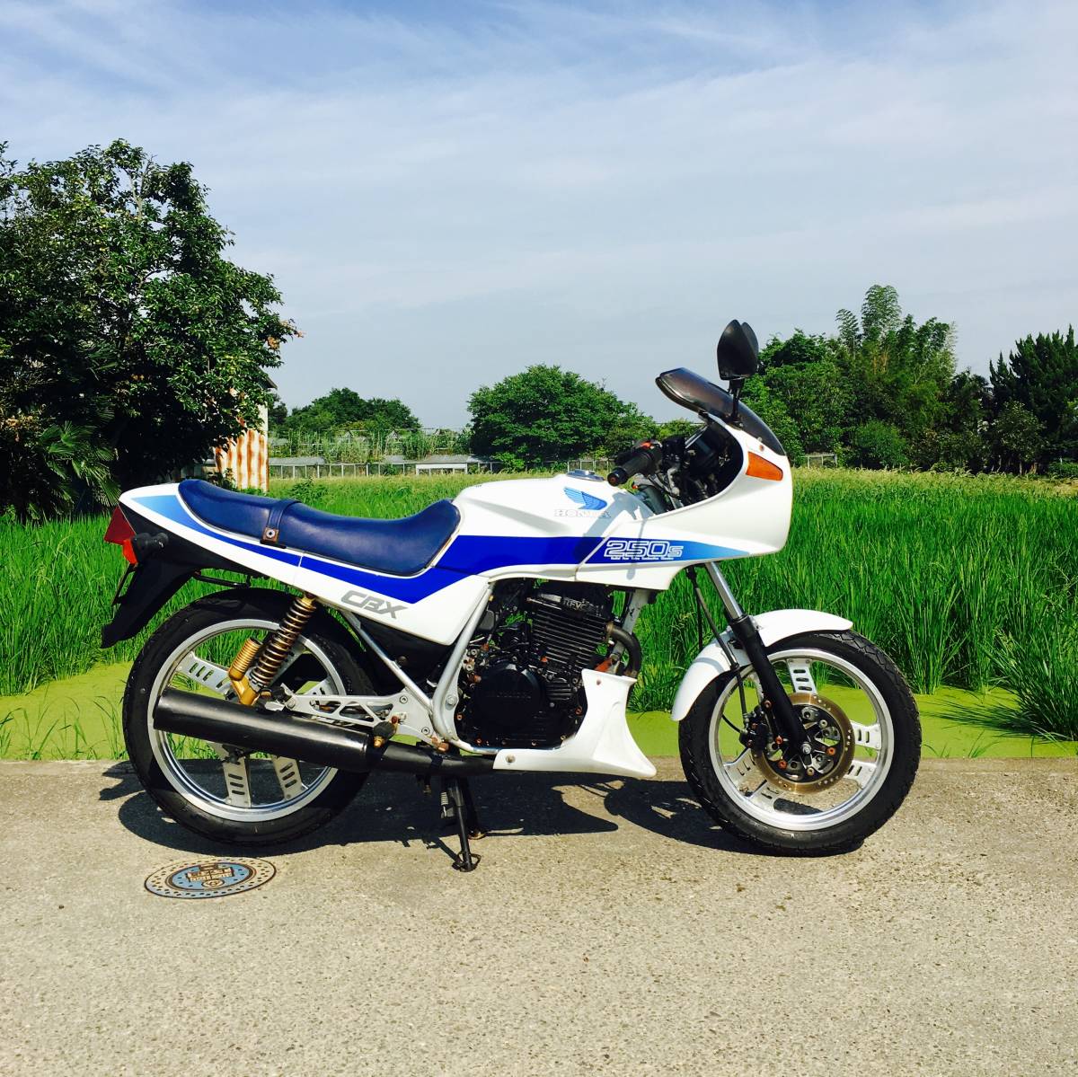 ホンダ Cbx250s Mc12 白 青 実動 書類付き な1台 Cbx Cbr 250 125f Gb Kh Gt 現状 埼玉県 126cc 250cc 売買されたオークション情報 Yahooの商品情報をアーカイブ公開 オークファン Aucfan Com