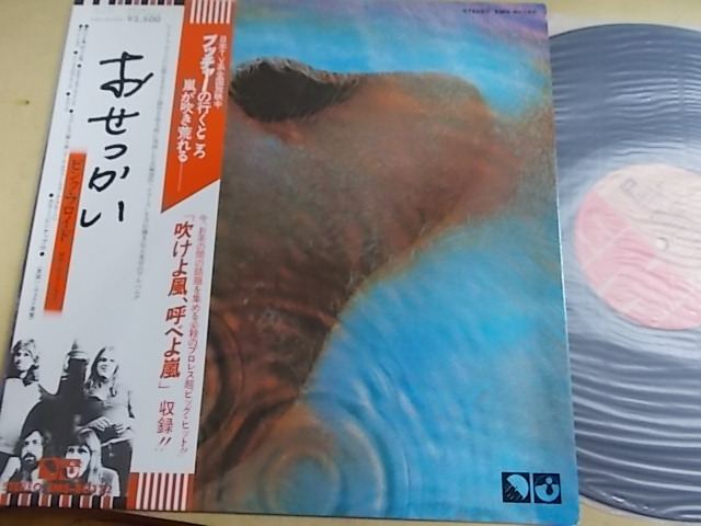 e225559684.1