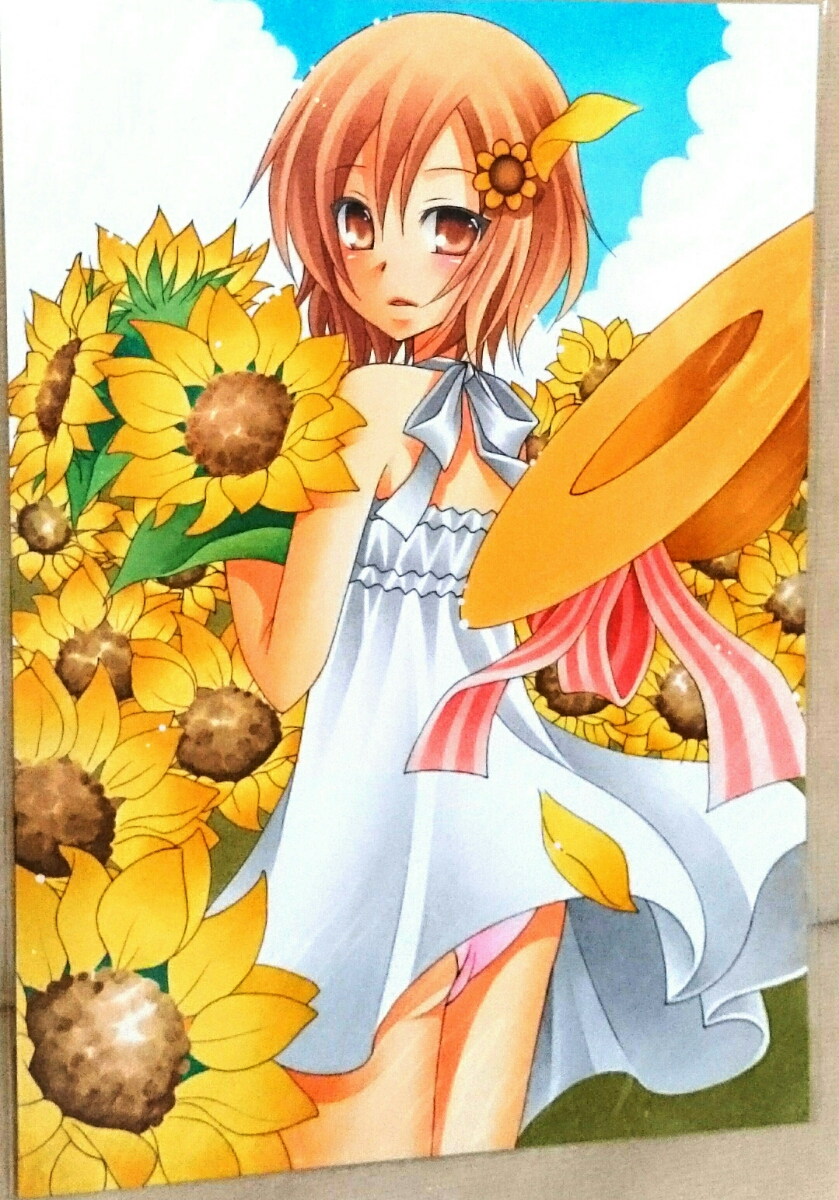 手描きイラストa5サイズ 楠幸村 僕は友達が少ない 向日葵畑 風に吹かれて 手描きイラスト 売買されたオークション情報 Yahooの商品情報をアーカイブ公開 オークファン Aucfan Com