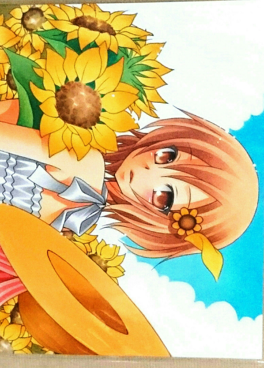 手描きイラストa5サイズ 楠幸村 僕は友達が少ない 向日葵畑 風に吹かれて 手描きイラスト 売買されたオークション情報 Yahooの商品情報をアーカイブ公開 オークファン Aucfan Com