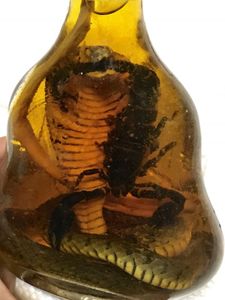 コブラ 酒のYahoo!オークション(旧ヤフオク!)の相場・価格を見る