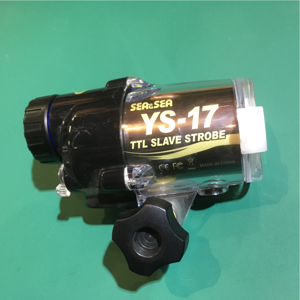 l417152039.1