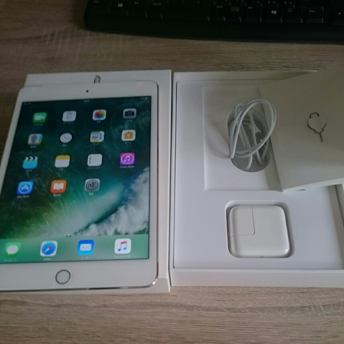 超美品】ipad mini 4 16G wifi cellulerモデル docomo 判定◯ ゴールド