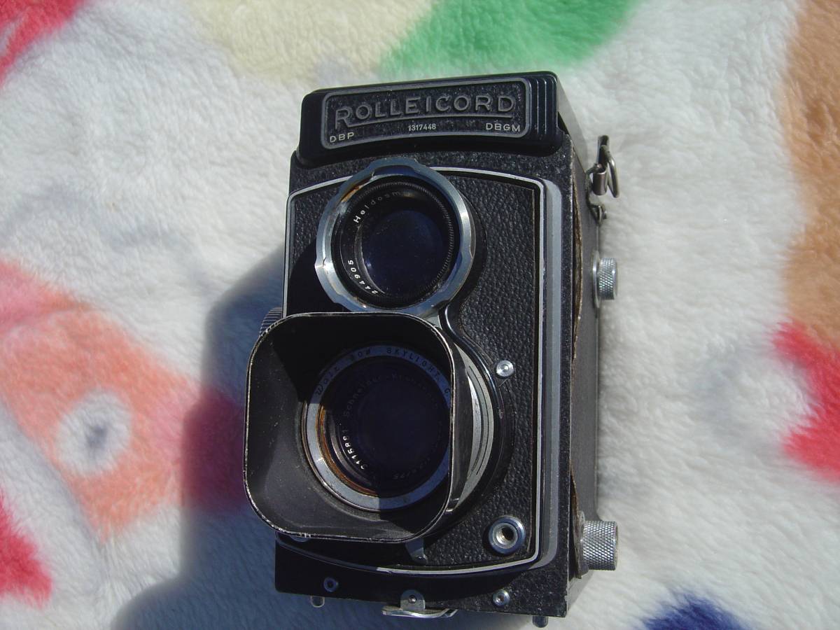 s515824808.1