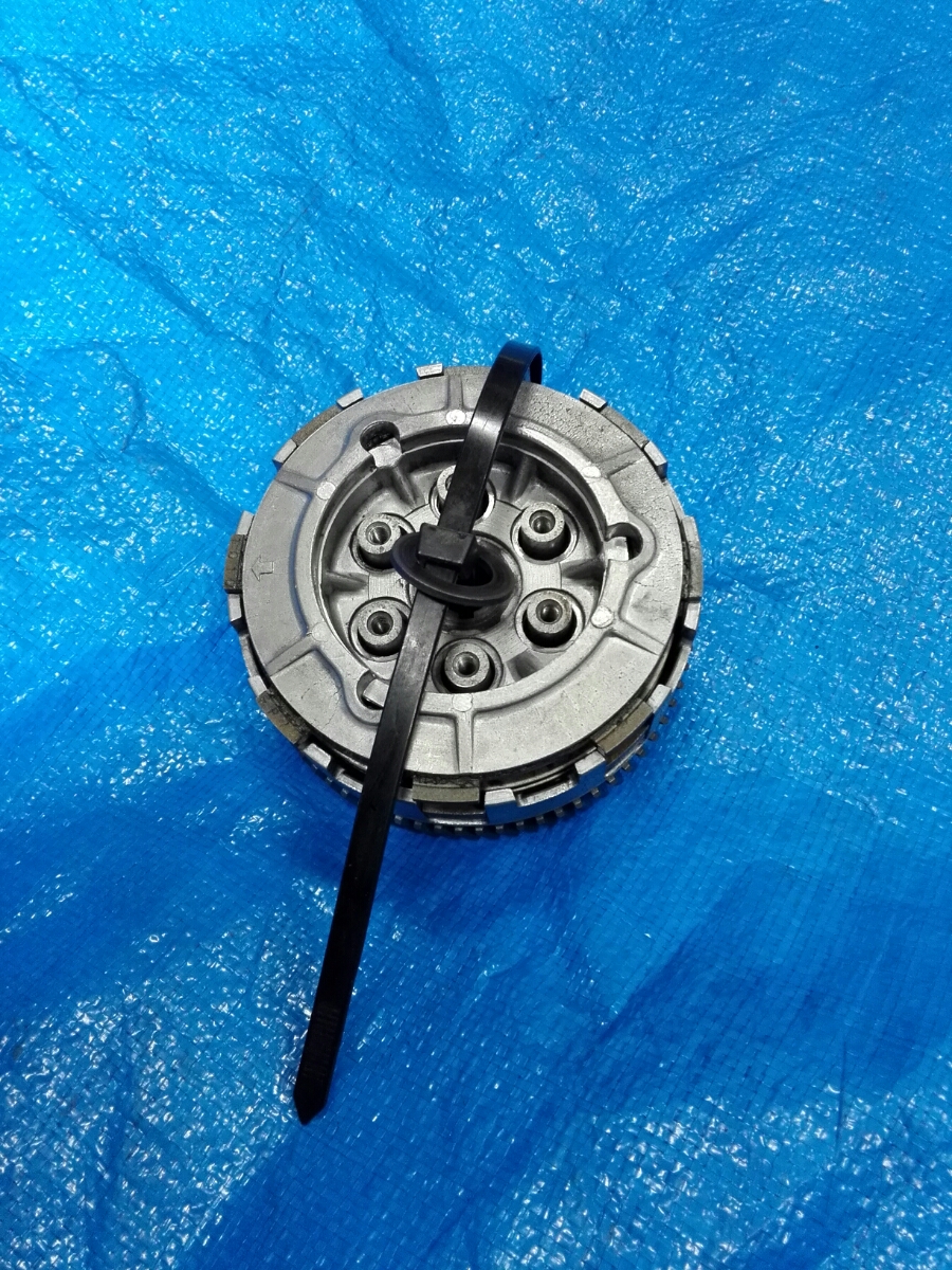 k282384137.1