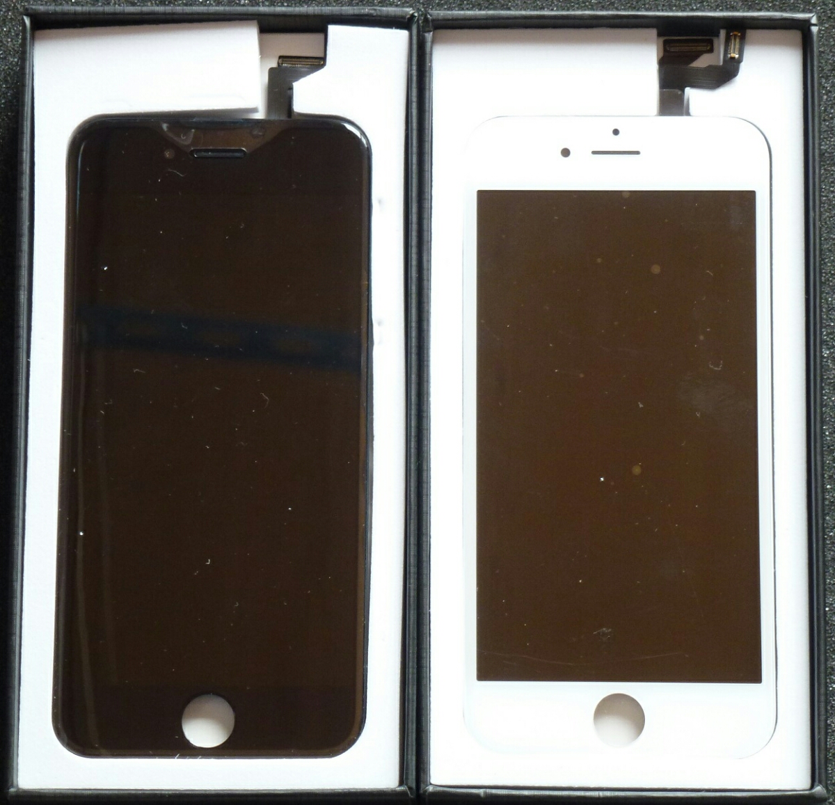 o209529518.1