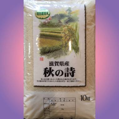 H29年産★ブランド米近江米★秋の詩10㎏★即決送料無料3560円★白米★特別栽培米