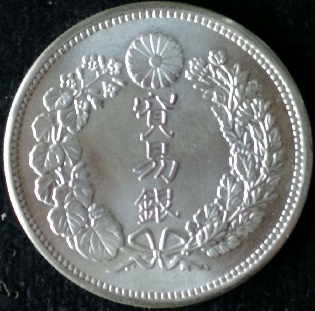 v488110889.2