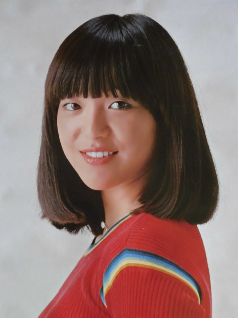 岩崎宏美 お宝 サイン ポスター 8点まとめ売り☆希少★レトロ レトロ！岩崎宏美／1976年大判ポスター(あ行)｜売買されたオークション