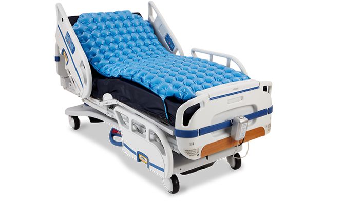 t523136409.2