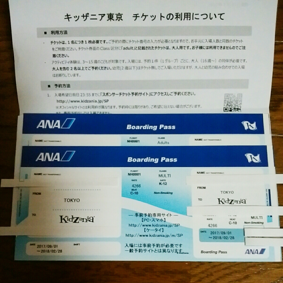 l491561232.1