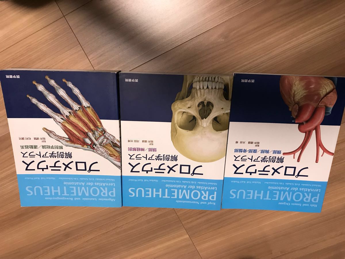 プロメテウス解剖学アトラス〜解剖学総論運動器系〜（第3版