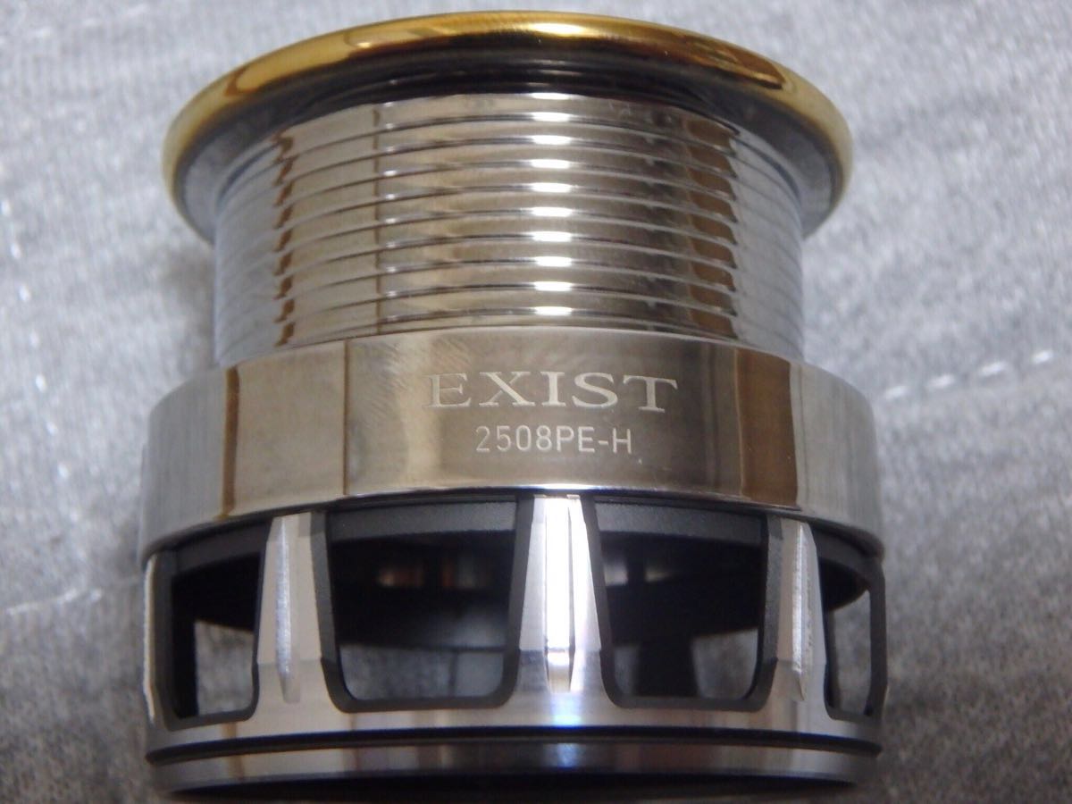 ダイワ(Daiwa) 【機関良好】DAIWA 12EXIST2508PE-H ダイワ12イグジスト 