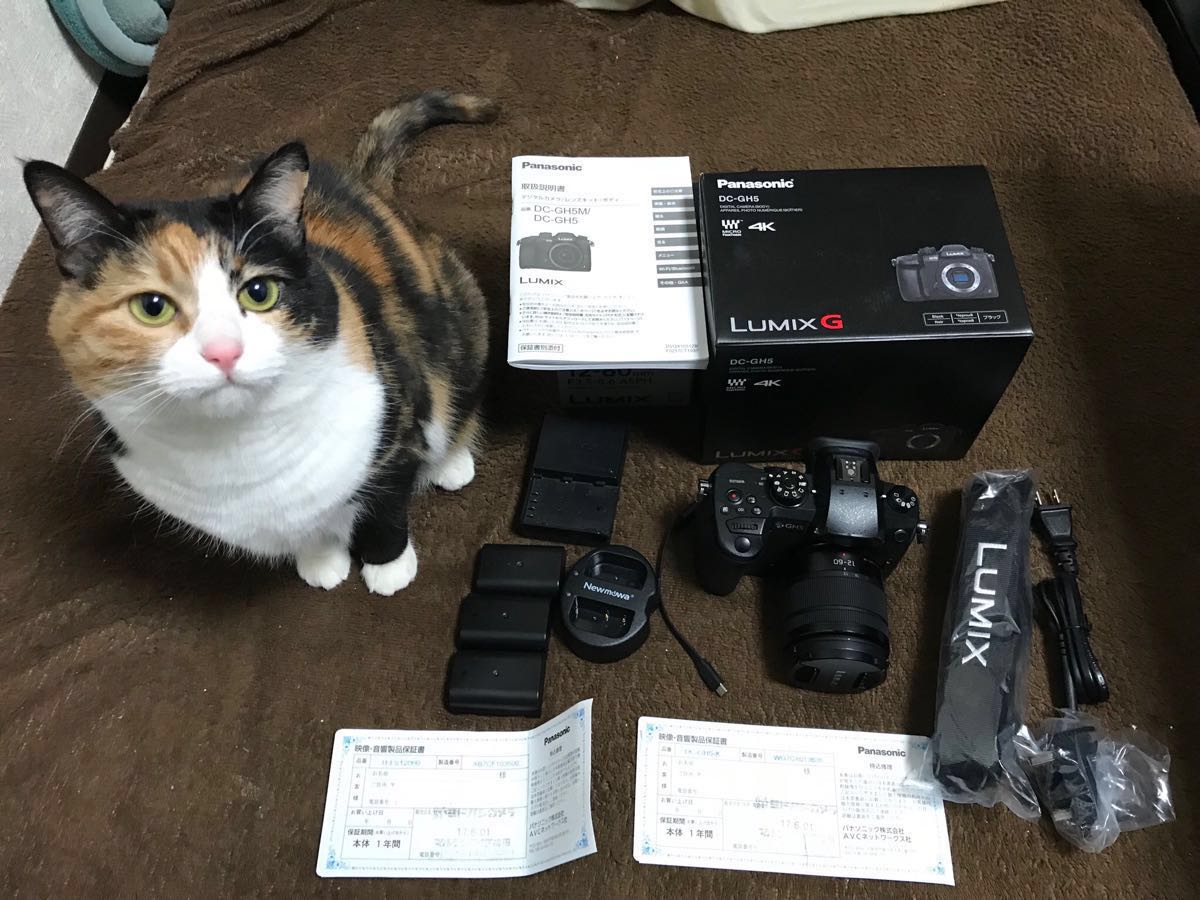 キャノン PowerShot SX410ISコンデジ（40倍） | FYSIKKTEKNOLOGI.NO