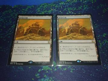 激安取扱店 【MTG】 不毛の大地 日本語版2枚セット 【公式通販】