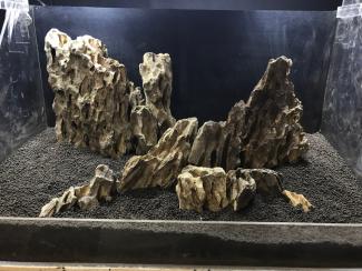 アクアリウム 気孔石 レイアウト石 公式通販 カミハタ no.12 メダカ