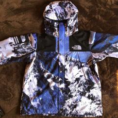 supreme x the north face mountain parka