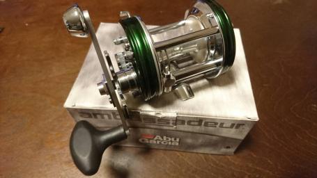 アブ 6500 CS ROCKET （GREEN）雷魚 グリーン グリーン アンバサダー