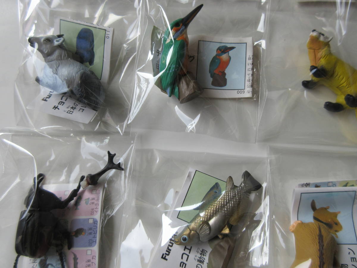 チョコエッグ 日本の動物 第1弾（日本の動物） 海洋堂 Bird Wild