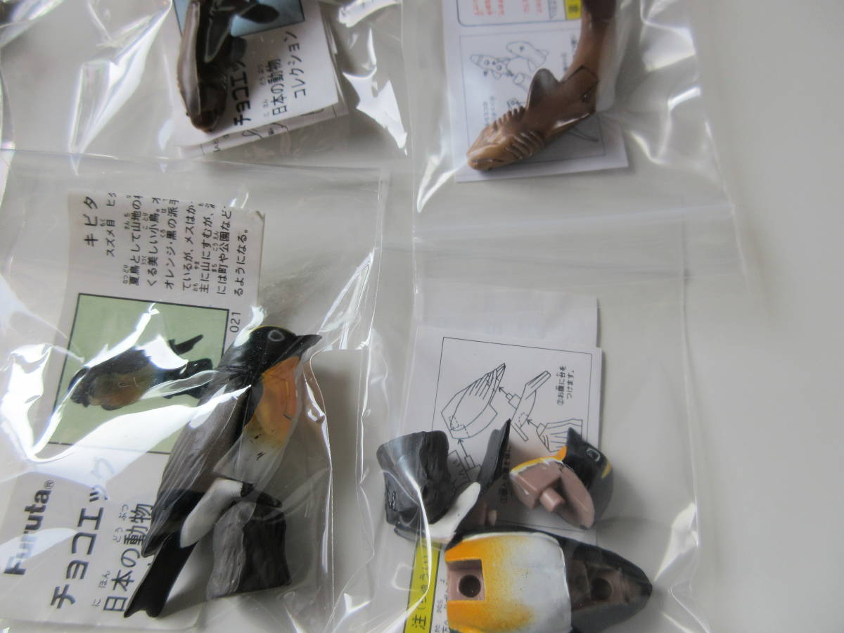 チョコエッグ 日本の動物 第1弾（日本の動物） 海洋堂 Bird Wild