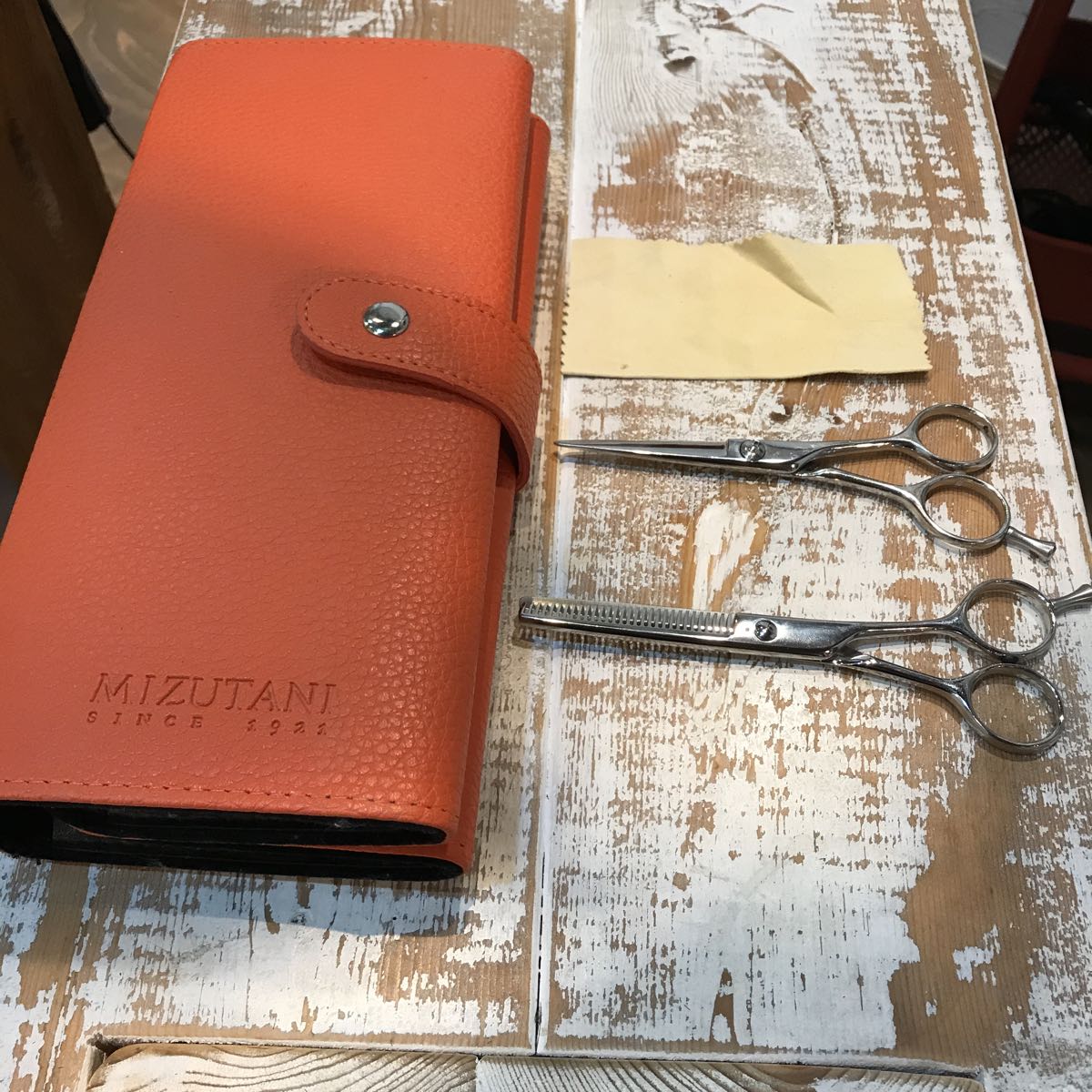 ミズタニシザー ビギナー向けベーシックセット | ミズタニシザーズ 