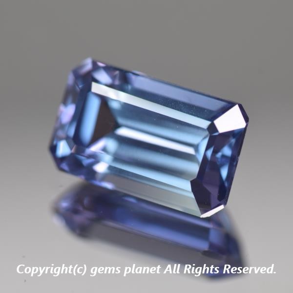 g290391952.1