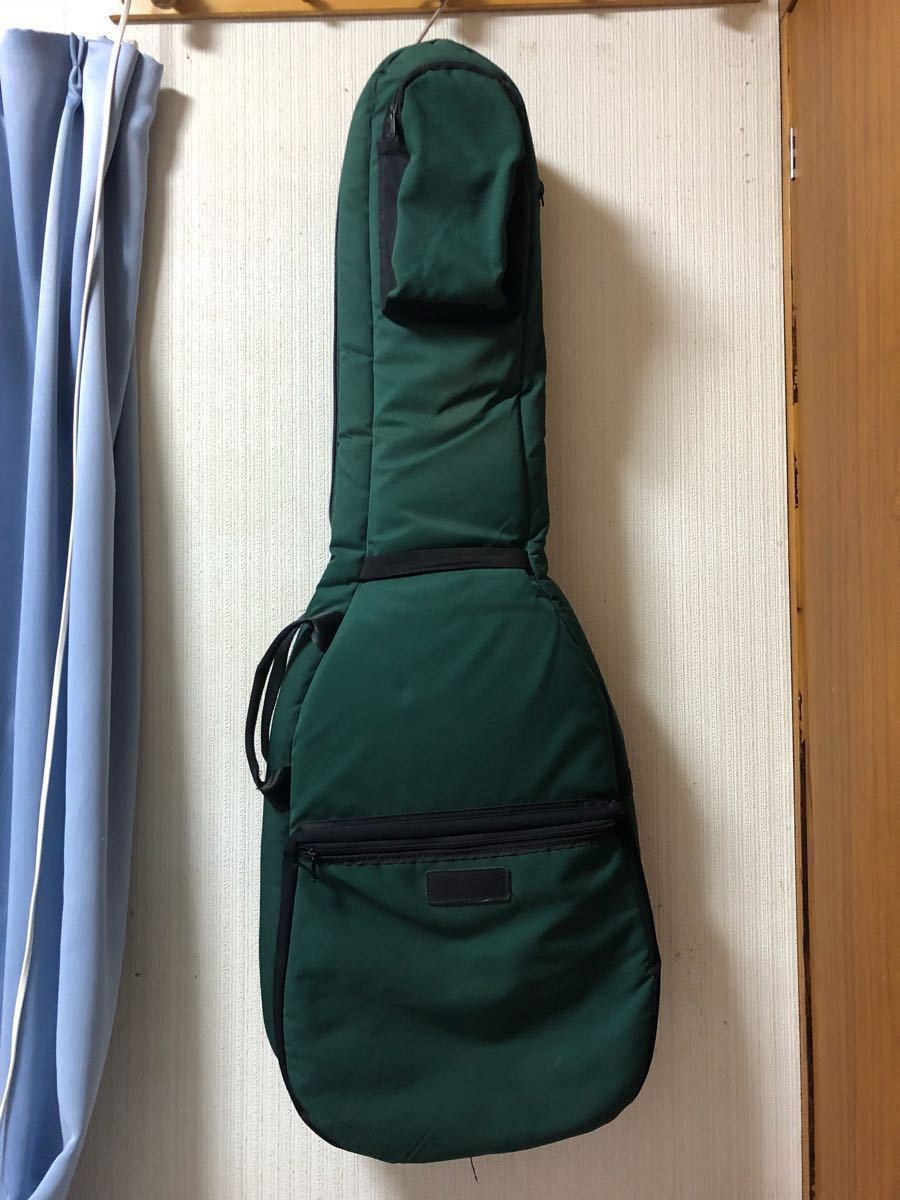 Mooradian Green ダブル ソフトケース レアカラー