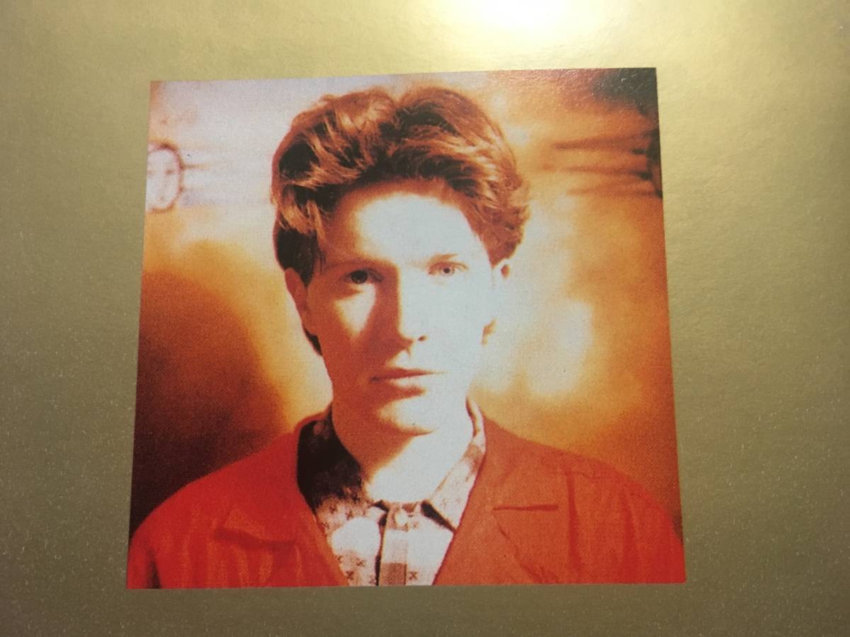 David Sylvian デヴィッドシルヴィアン 錬金術 Alchemy An Index Of Possibilities David Sylvian 売買されたオークション情報 Yahooの商品情報をアーカイブ公開 オークファン Aucfan Com
