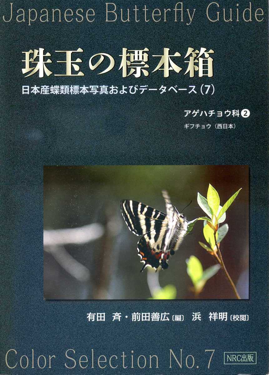 珠玉の標本箱 日本産蝶類標本写真およびデーターベース[7