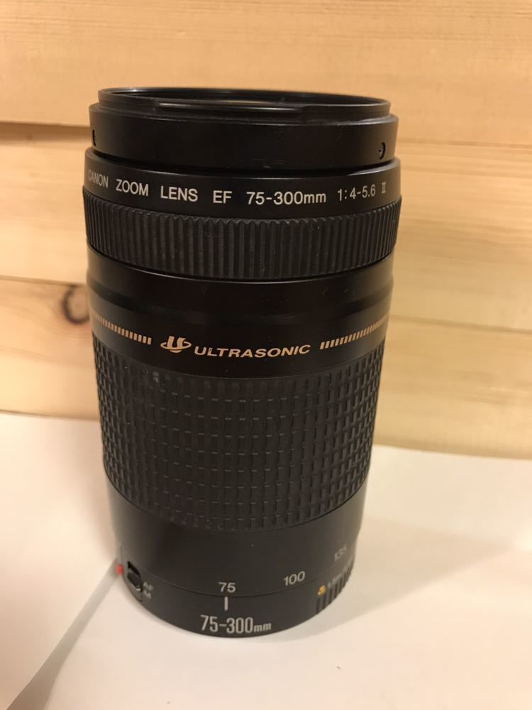 Canon EF75-300mm F4-5.6 II 【公式通販】