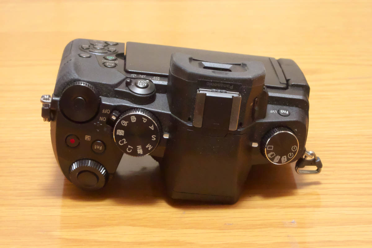 LUMIX ボディ DMC-G8 パナソニック おまけ多数公式直営ストア - 価格