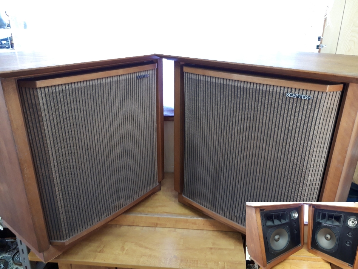 ONKYO オンキョー SCEPTER-100☆ペア☆音出し確認済み☆(要説明文