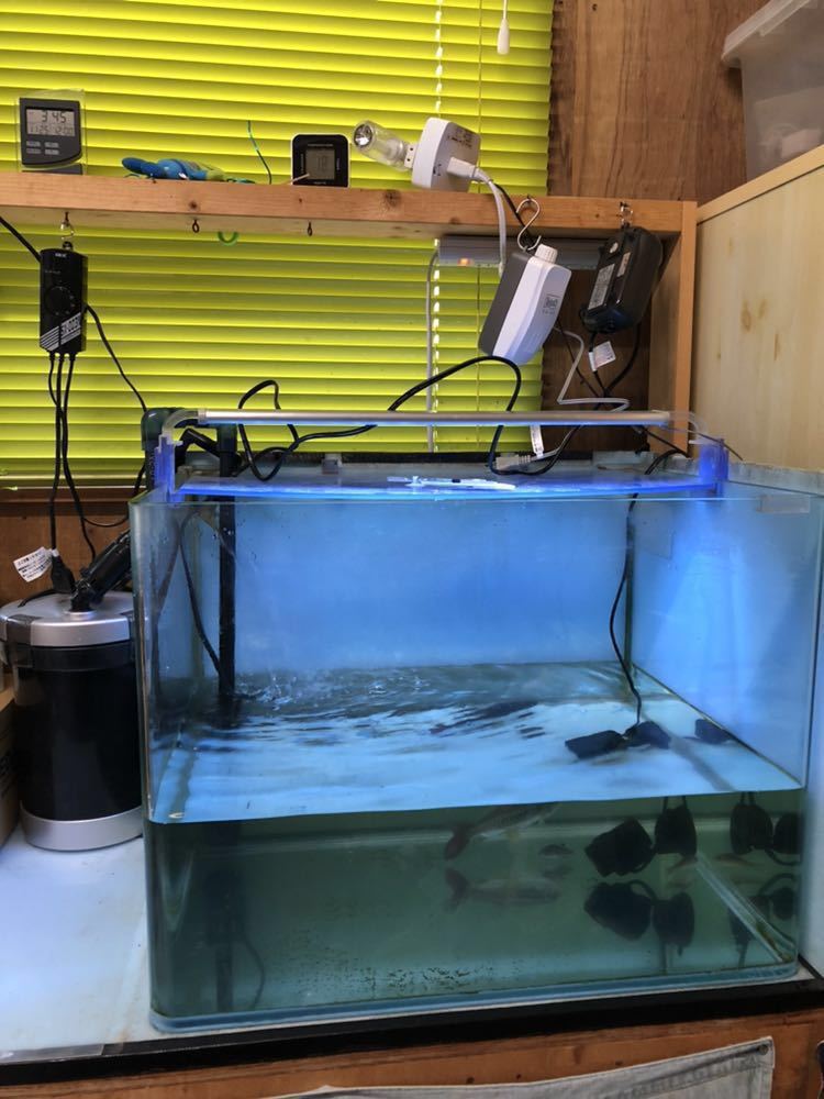 引き取り限定> 60cm 水槽 水槽台 アクアリウム 一式 引き取り限定