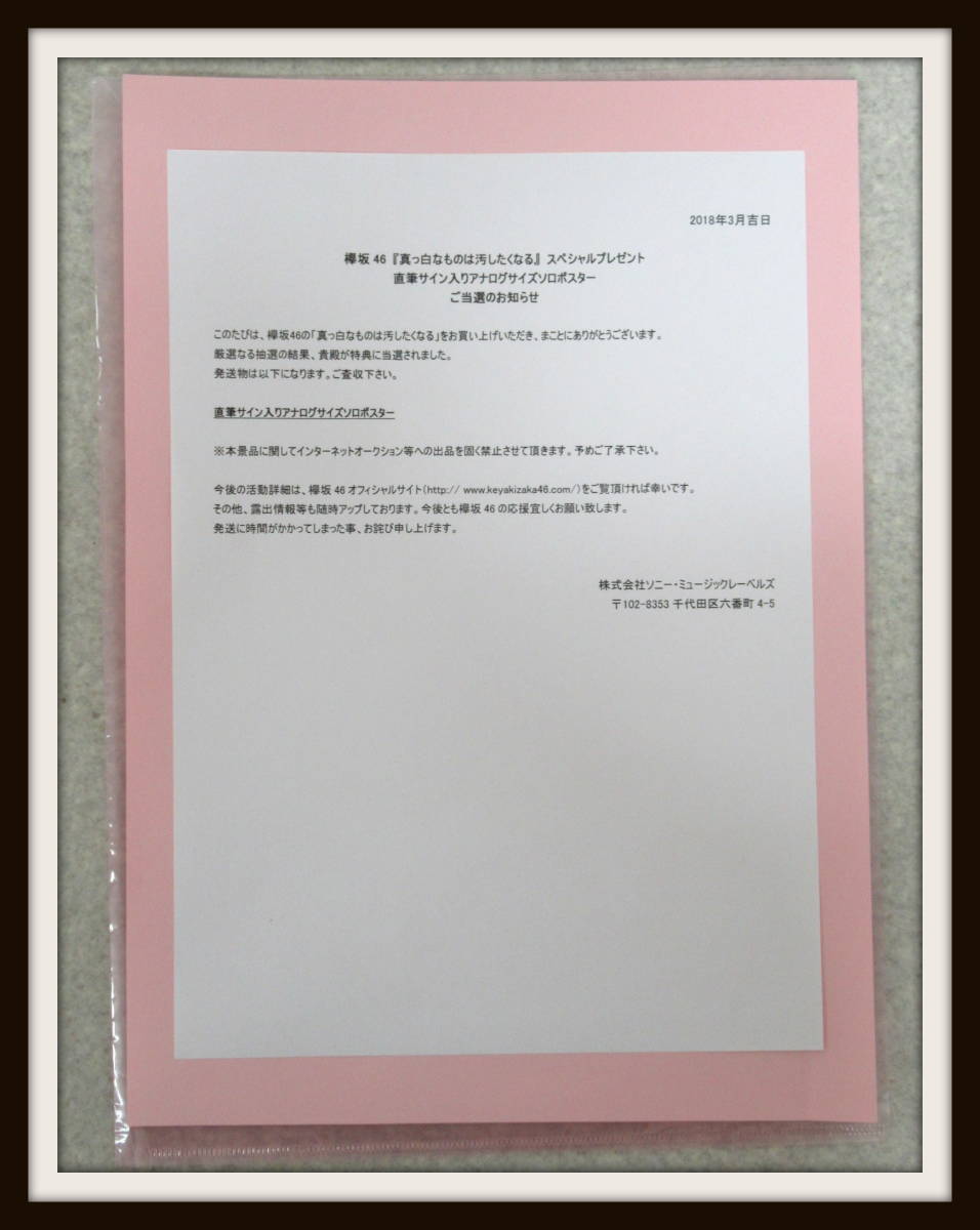 当選 欅坂46 井口眞緒 直筆サイン入り アナログサイズソロポスター