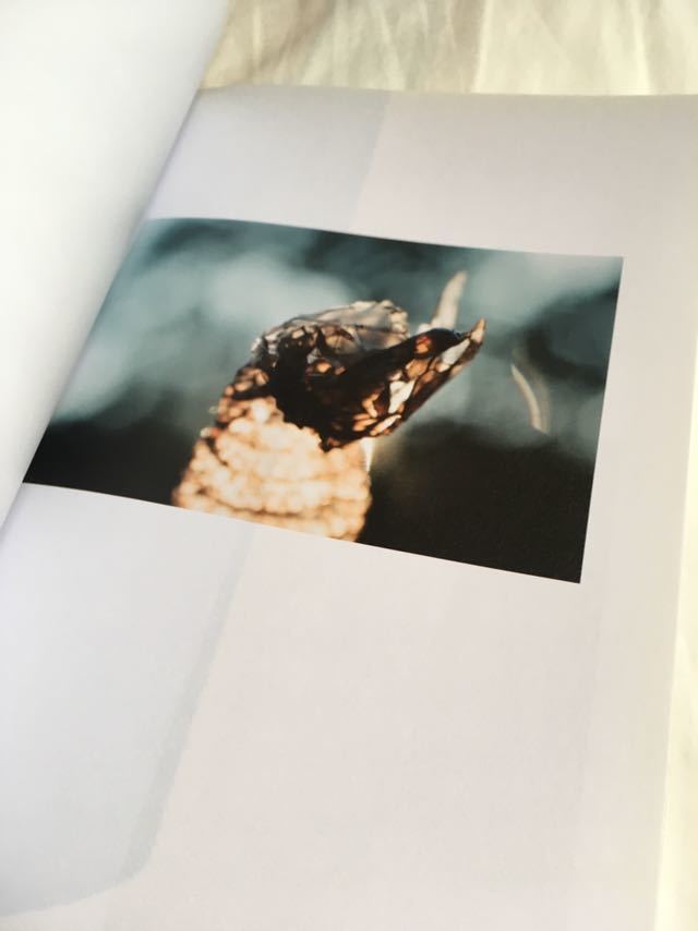 Lina Scheynius リナシェイニウス 写真集 【公式通販】