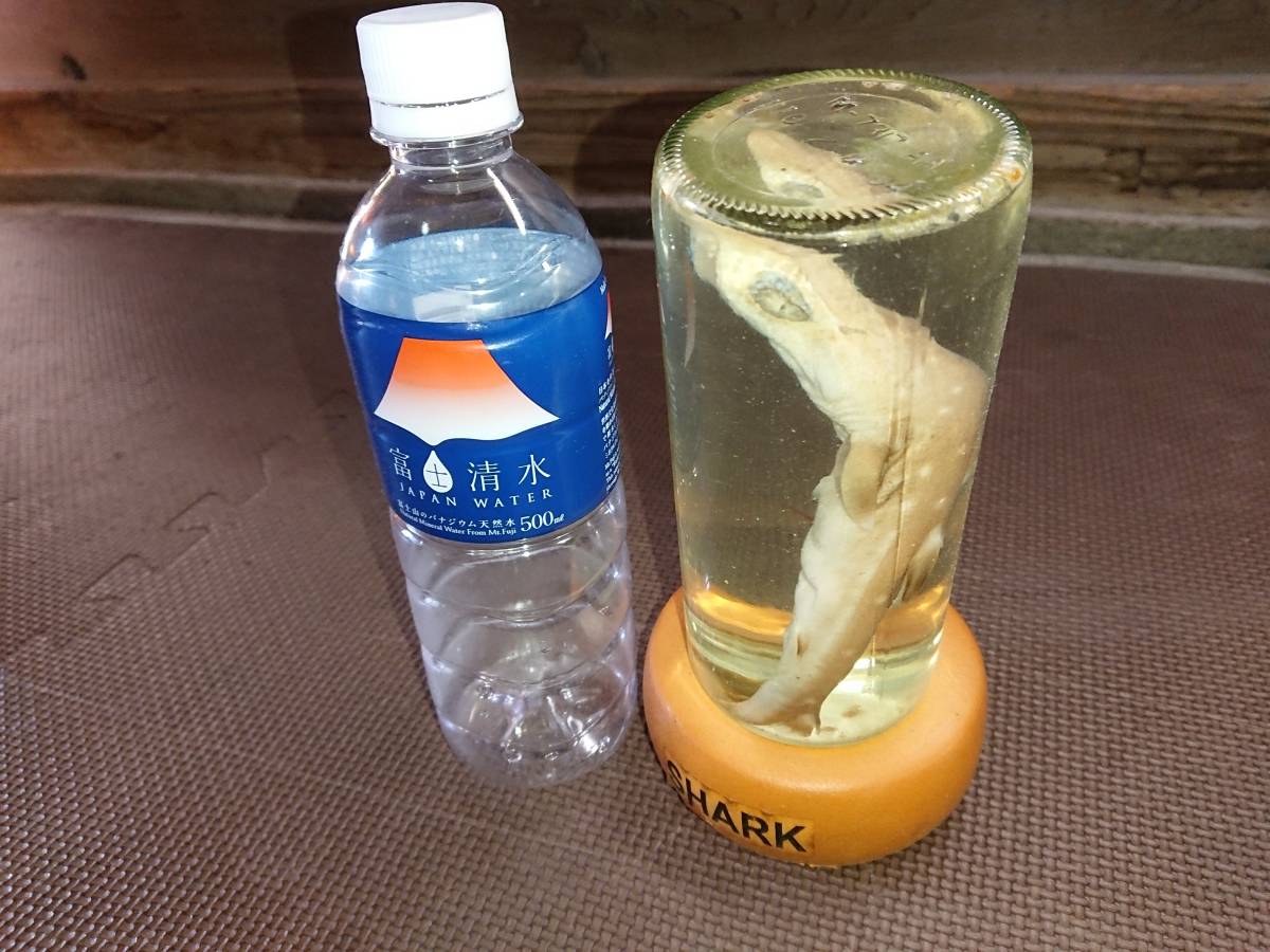 サメ ホルマリン漬け 標本 - 公式通販 サメのホルマリン漬け No: 美ら 