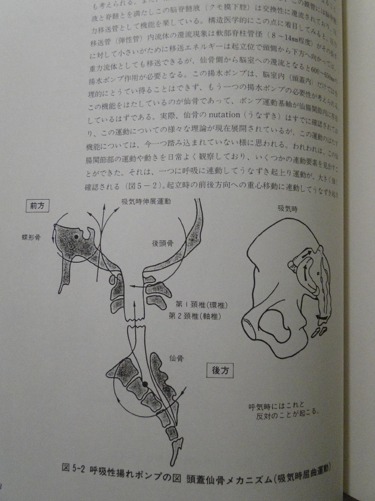 構造医学の原理 吉田 勧持 (著) 構造医学解析Ⅰ」「構造医学の原理