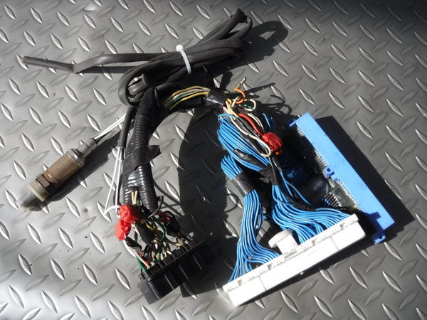 BMW R系 コーディング E系⁄MINI コーディング＆診断機 パソコン | DIY